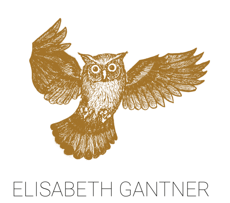 Eule Elisabeth Gantner Portfolio wunderkammer