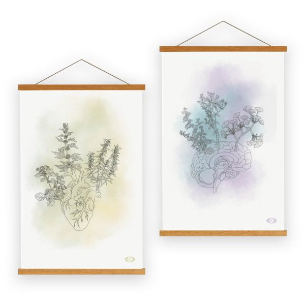 Herz & Hirn wunderkammer Elisabeth Gantner heart herbs brain gesundheit heilkräuter heilpflanzen kunstdruck artprint elisabeth Gantner künstlerin artist